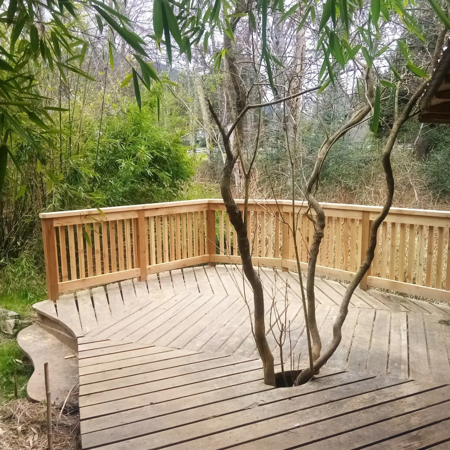 Saanich Peninsula — deck overview