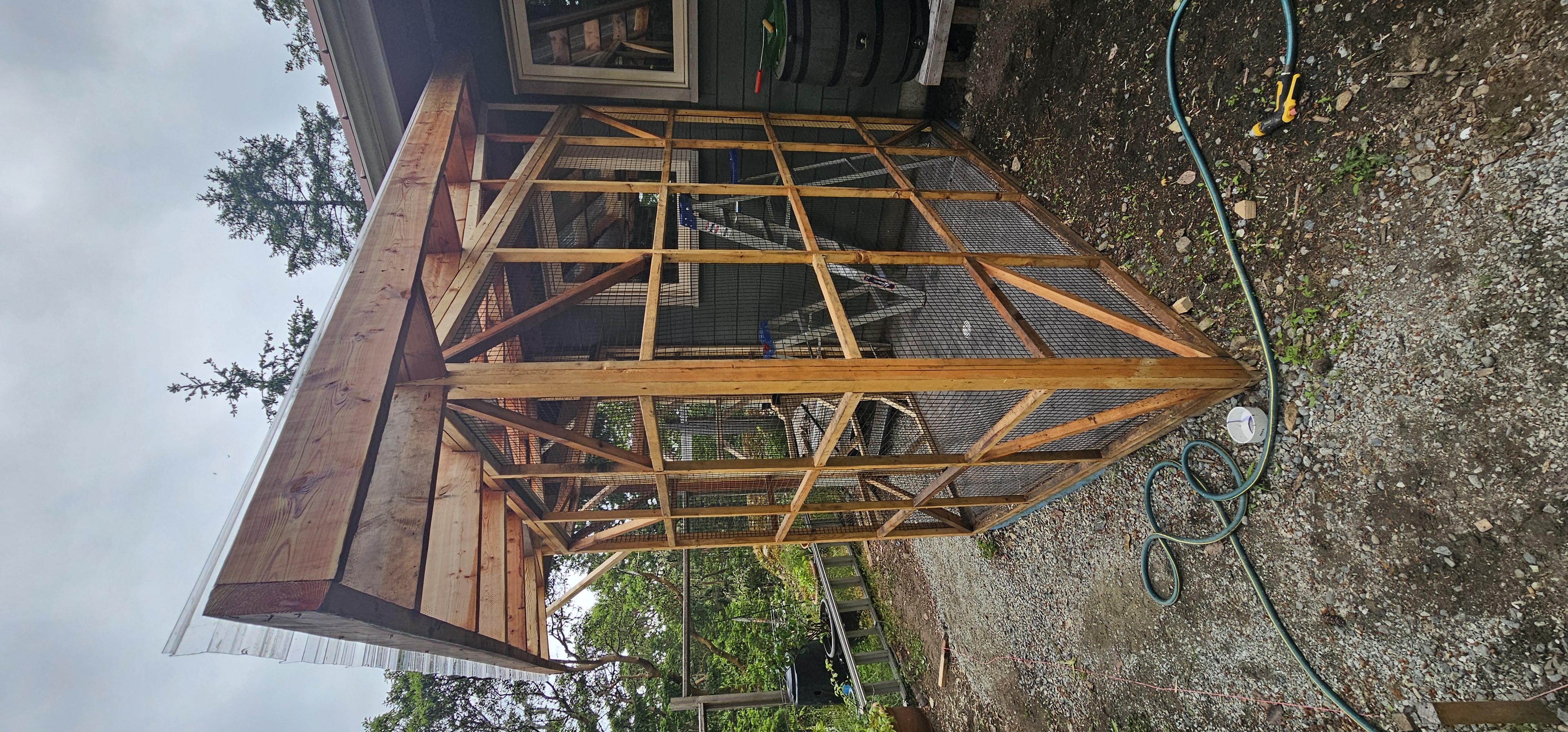 Salt Spring Island project — completed cedar-framed screened catio, full corner view with polycarbonate roof
