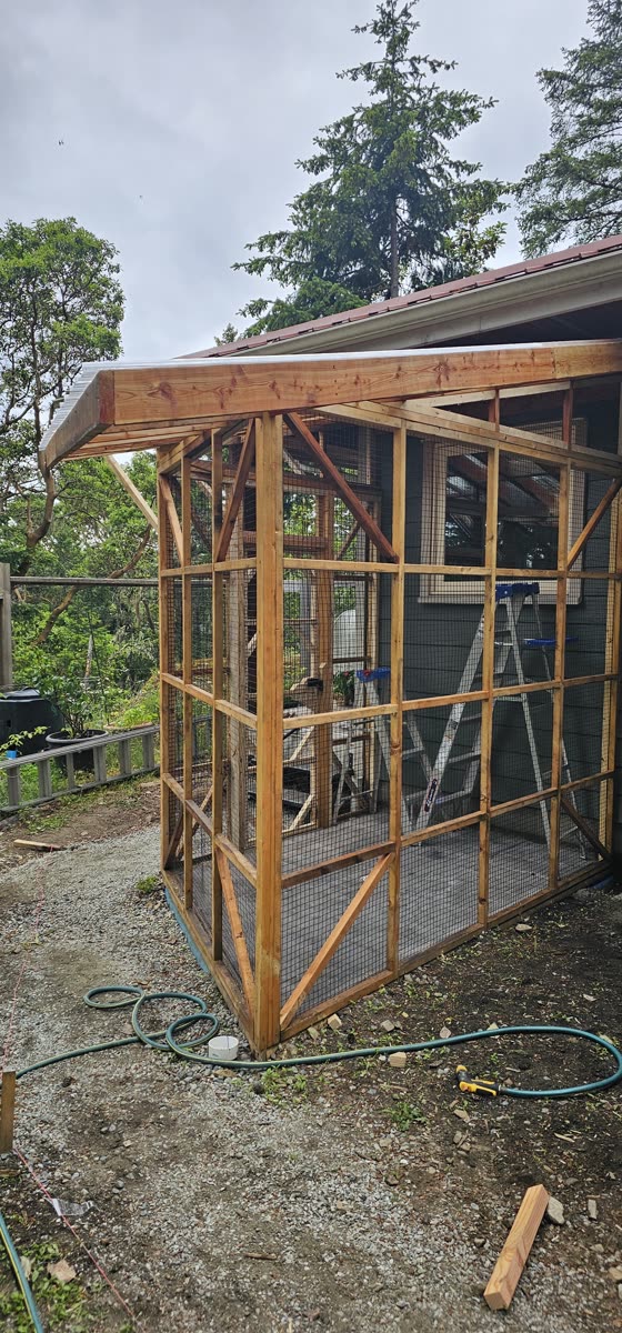 Salt Spring Island project — cedar catio side elevation, framing and screen infill detail