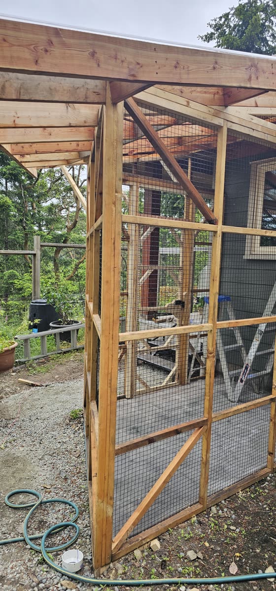 Salt Spring Island cedar catio — enclosed outdoor structure · Salt Spring Island