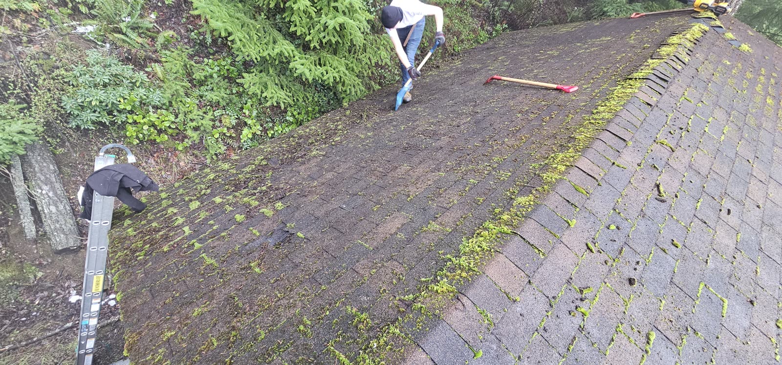 Salt Spring Island reroof — shingle installation detail